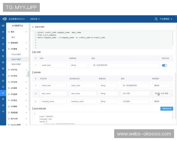 开放API接口成为平台标配 促进第三方开发者生态繁荣创新