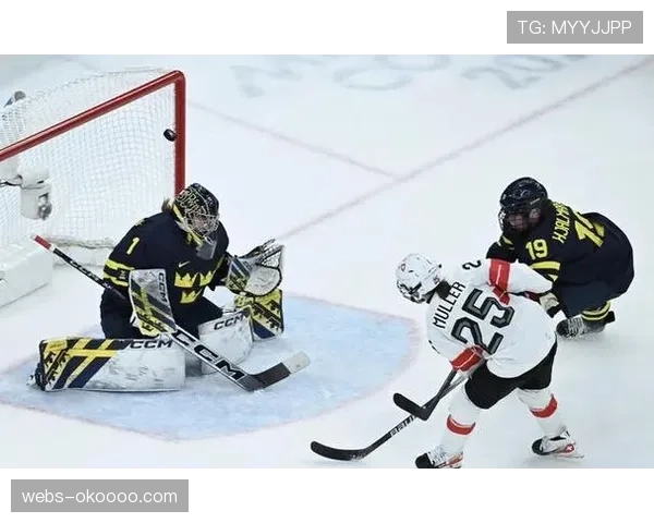 欧洲冠军杯冰球联赛半决赛，瑞士苏黎世狮队主场加时绝杀瑞典球队